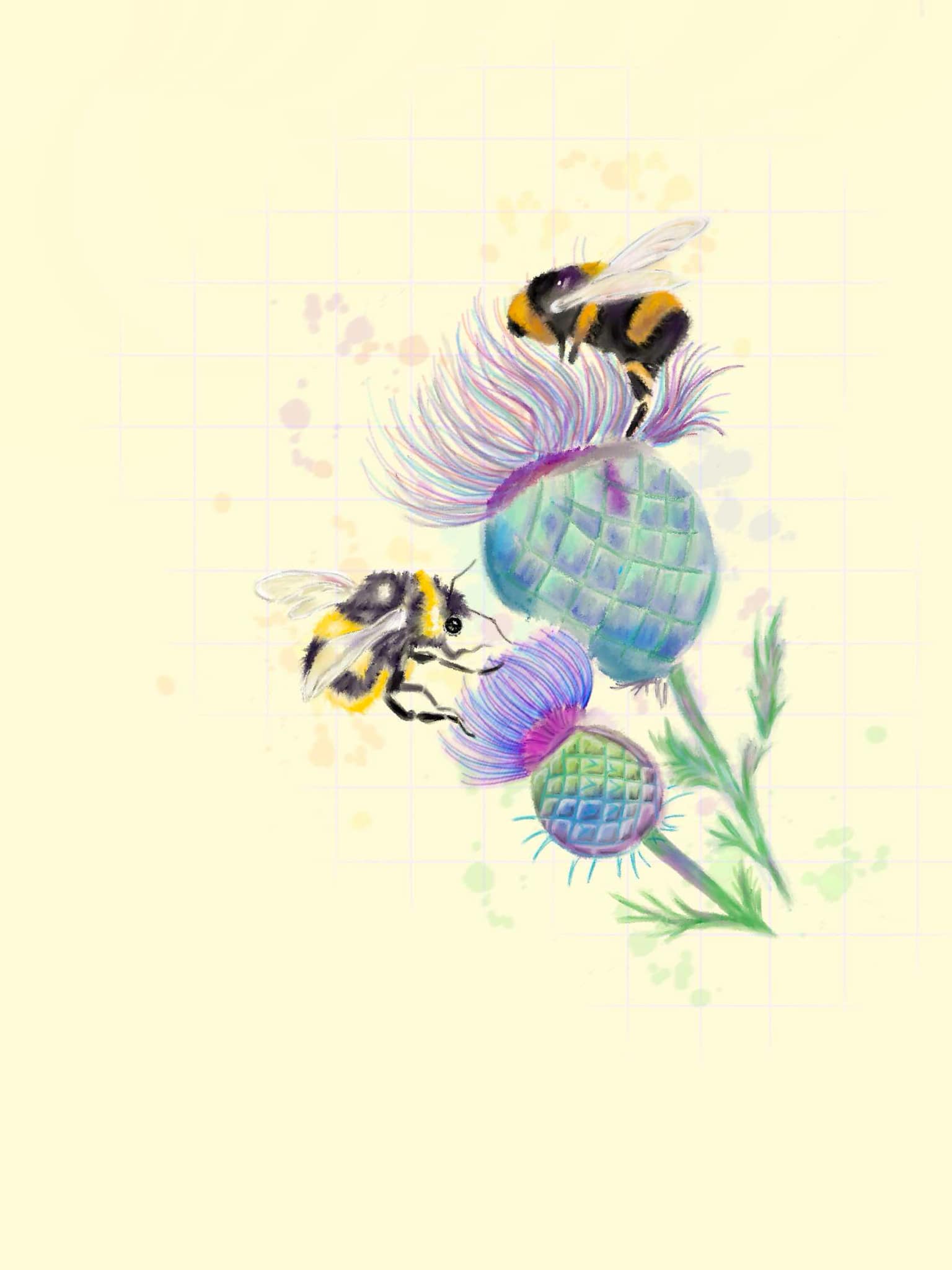 Bees & Thistle